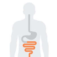 fermenti lattici vivi acidophilus plus NeoLife gastroprotetto gel