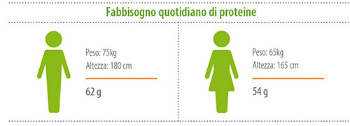 Fabbisogno quotidiano di proteine: uomo, peso 75kg, altezza 180cm, fabbisogno proteine 62g; donna, peso 65kg, altezza 165cm, fabbisogno proteine 54g