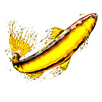 integratore omega-3 salmon oil plus NeoLife olio ultra puro di pesce selvatico