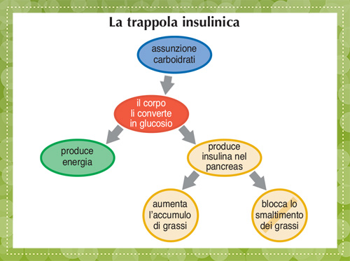 La trappola insulinica