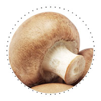 Funghi fonte naturale di Vitamina D2